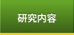 研究内容
